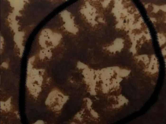 Запись на сеанс гадания в Ступино